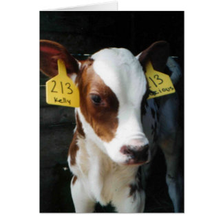 Cartão Bebês Fazenda Vacas Kelly Foto