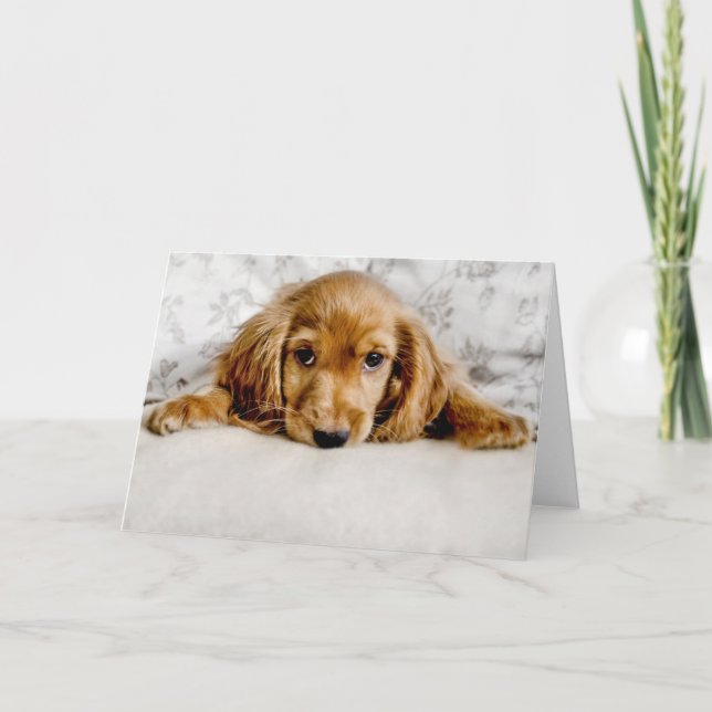 Cartão Bebês Mais Pobres | Cocker Spaniel Puppy (Frente)