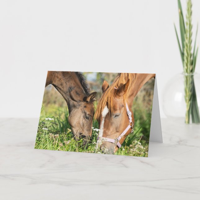 Cartão Bebês Mais Pobres | Coluna de cavalos (Frente)