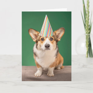 Cartão Bebês Mais Pobres Corgi Birthday Puppy