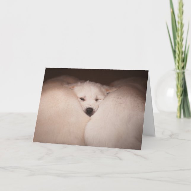 Cartão Bebês Mais Pobres | Dispositivo de Ouro (Frente)