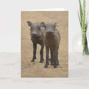 Cartão Bebês Mais Pobres Dois Jovens Warthogs