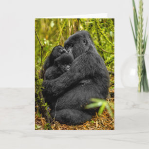 Cartão Bebês Mais Pobres Gorilla & Baby