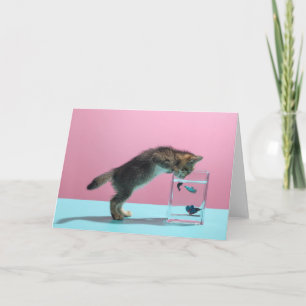 Cartão Bebês Mais Pobres   Kitten Olhando para Fish Bowl