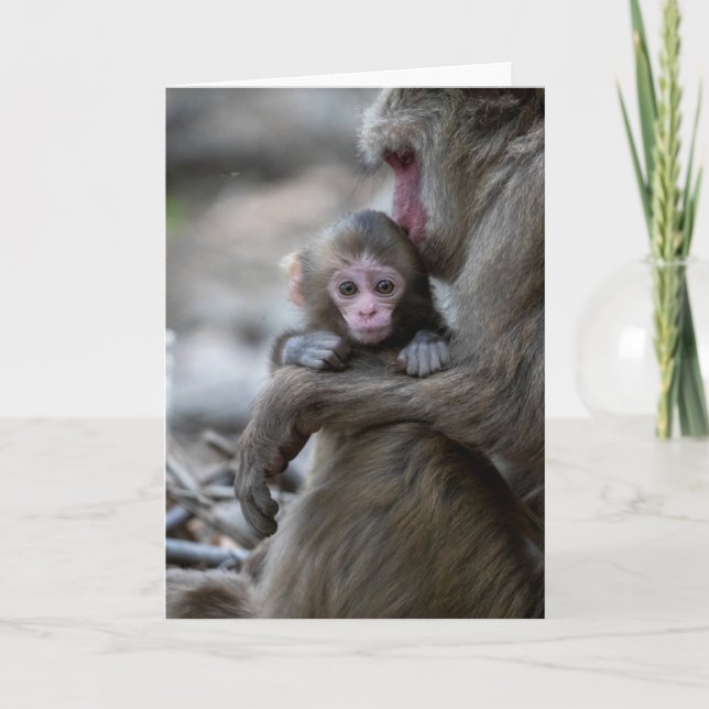 Cartão Bebês Mais Pobres | Macaco japonês e bebê (Frente)