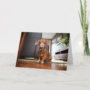 Cartão Bebês Mais Pobres   Mini Dachshund Puppy