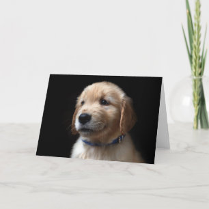 Cartão Bebês Mais Pobres Ouro Retriever Puppy