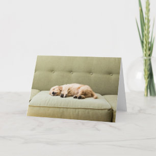 Cartão Bebês Mais Pobres   Ouro Retriever Puppy 2