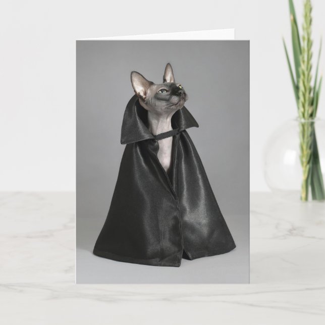 Cartão Bebês Mais Pobres | Sphynx Hairless Cat (Frente)