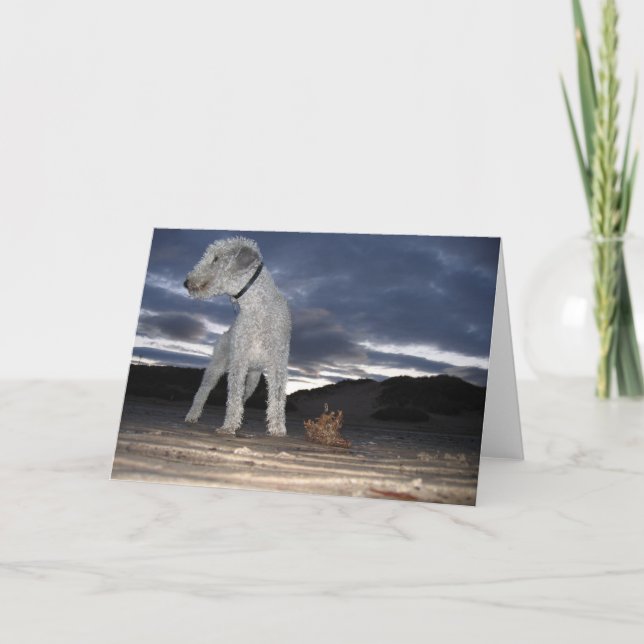 CARTÃO BEDDY NA PRAIA (Frente)