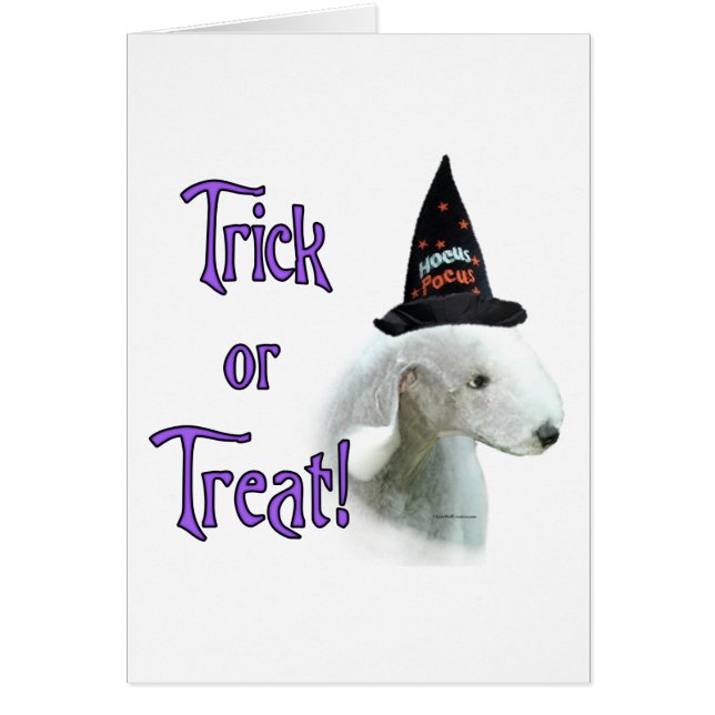 Cartão Bedlington Terrier Trick (Frente)