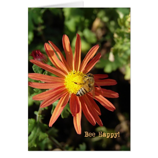 Cartão Bee Happy (Frente)