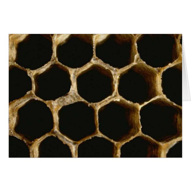 Cartão Bee Hive (Frente Horizontal)