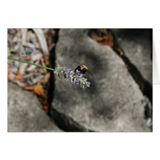 Cartão "Bee on lavanda" por Larry Coressel