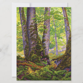 Cartão Beech Trees in the Forest (Woodland) (Paul Ranson)