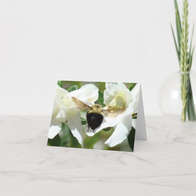 Cartão Bee'n ocupado (Frente)