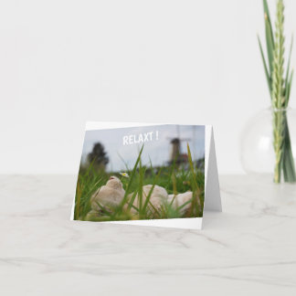 Cartão Beer relaxt in natuur met Hollandse molen.