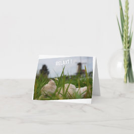 Cartão Beer relaxt in natuur met Hollandse molen.