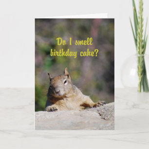 Cartão Begging Squirrel Happy Birthday