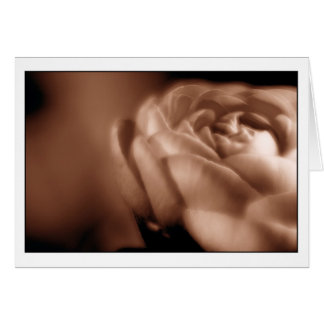 Cartão Begónia 2 do Sepia