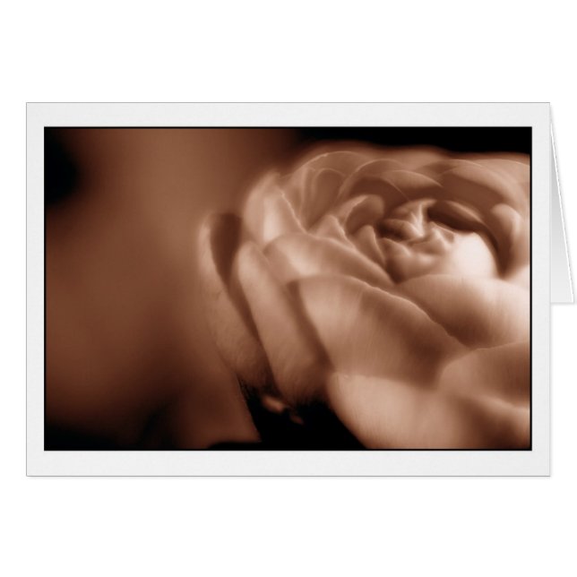 Cartão Begónia 2 do Sepia (Frente Horizontal)