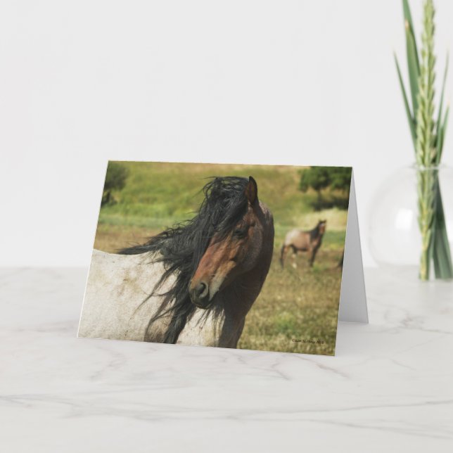 Cartão Behold a beleza (Frente)