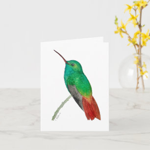 Cartão Beija-flor em Aquarela