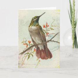 Cartão Beija-flor Vintage, Aniversário