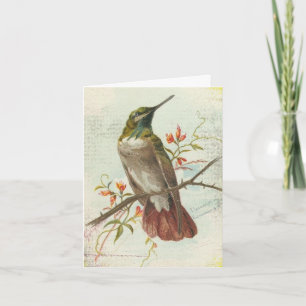 Cartão Beija-flor Vintage, Aniversário