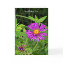 Beija sem um abraço... Cota de jardinagem