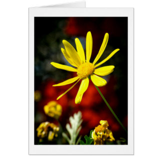 Cartão Beijado pelo Sol