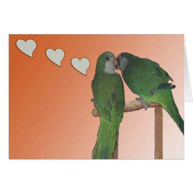 Cartão Beijando o (Frente Horizontal)