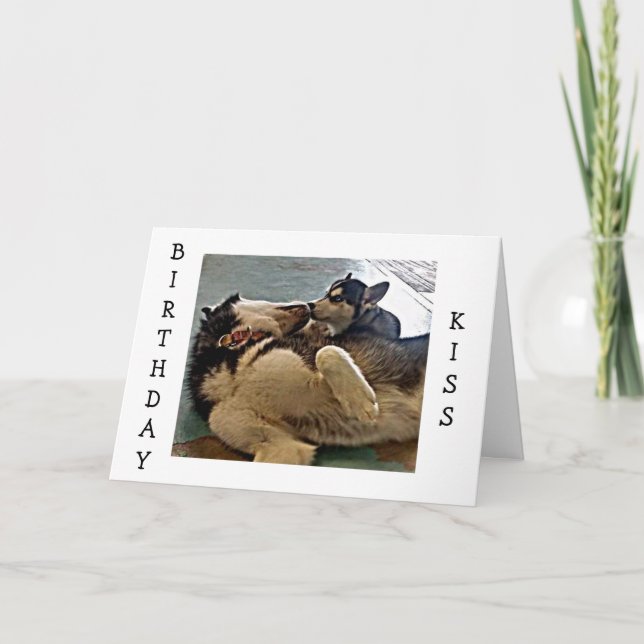 CARTÃO BEIJOS DE ANIVERSÁRIO = FOTOGRAFIA DE PUP (Frente)