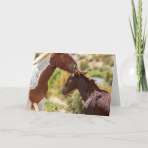 Cartão Beijos de Mamãe