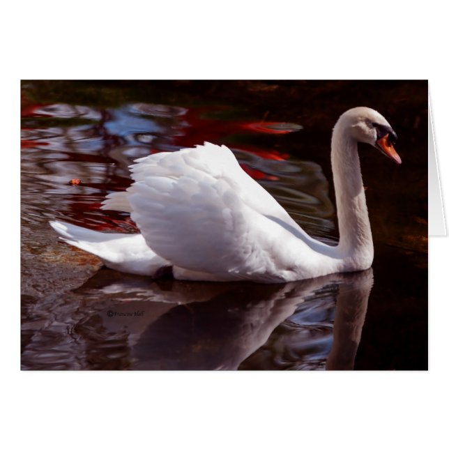 Cartão Bela (Frente Horizontal)