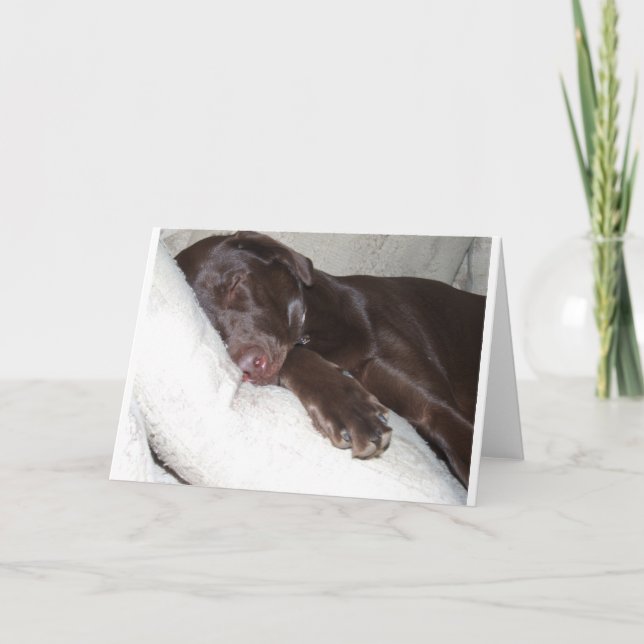 Cartão Bela Adormecida (Frente)