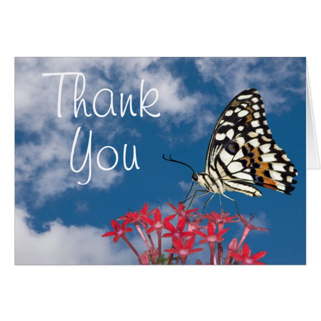 Cartão Bela Borboleta (Frente Horizontal)