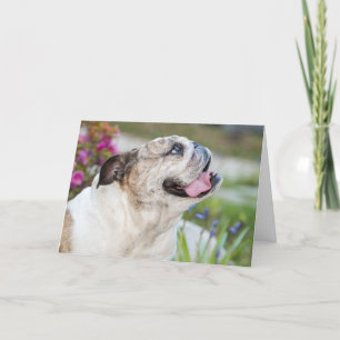 Cartão Bela Cachorro Que Você Me Faz Rir Personalizado