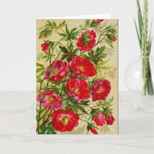 Cartão Bela Cherry Red Wild Rosas Notecards