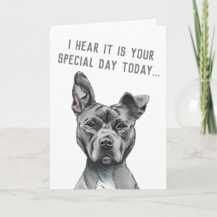 Cartão Bela Cinza Cão Feliz Aniversário Feliz