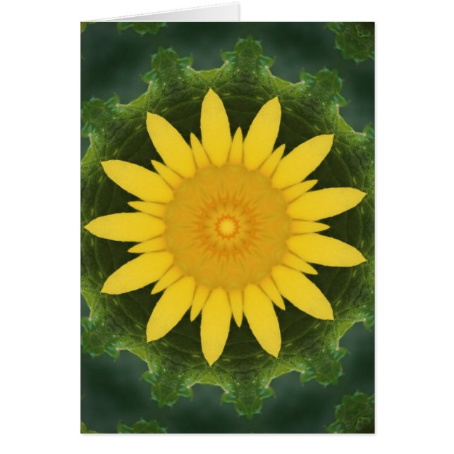 Cartão Bela flor de sol (Frente)