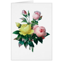 Cartão bela ilustração botânica vintage, rosa