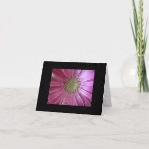 Cartão Bela Margarida Rosa