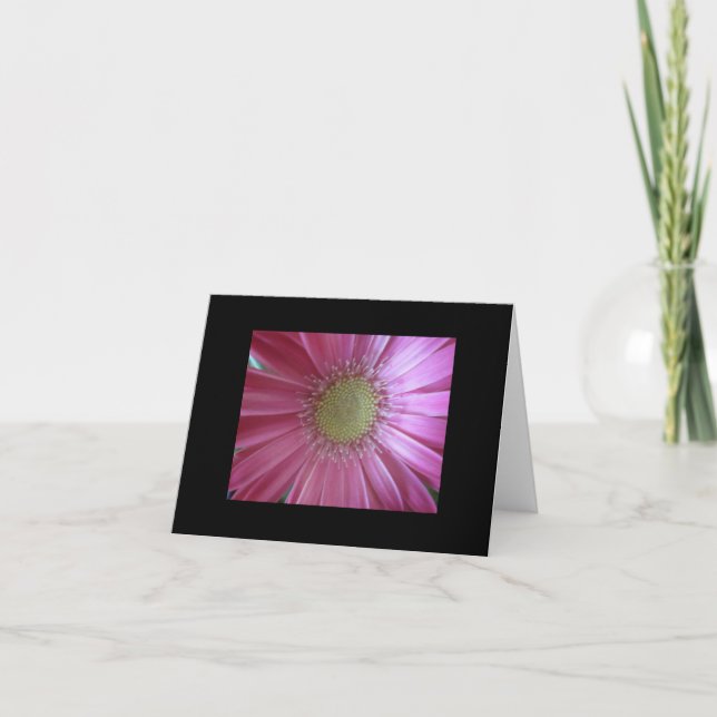 Cartão Bela Margarida Rosa (Frente)