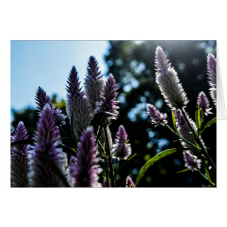 Cartão Bela placa de Vazio Floral Purple