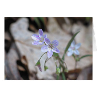 Cartão Bela primavera - Personalizada