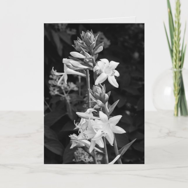 Cartão Belas Flores Preto e Branco Dia das Mães (Frente)