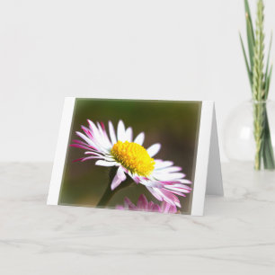 Cartão belas pétalas florescentes romance nobrida românti