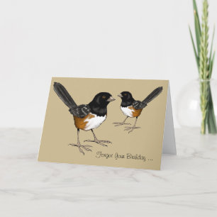 Cartão Belated Birthday, Bird Brain, Drawing of Birds