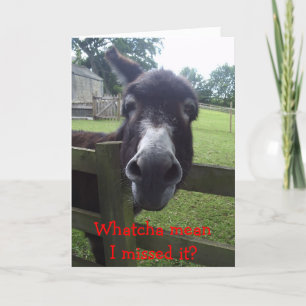 Cartão Belated Birthday Card